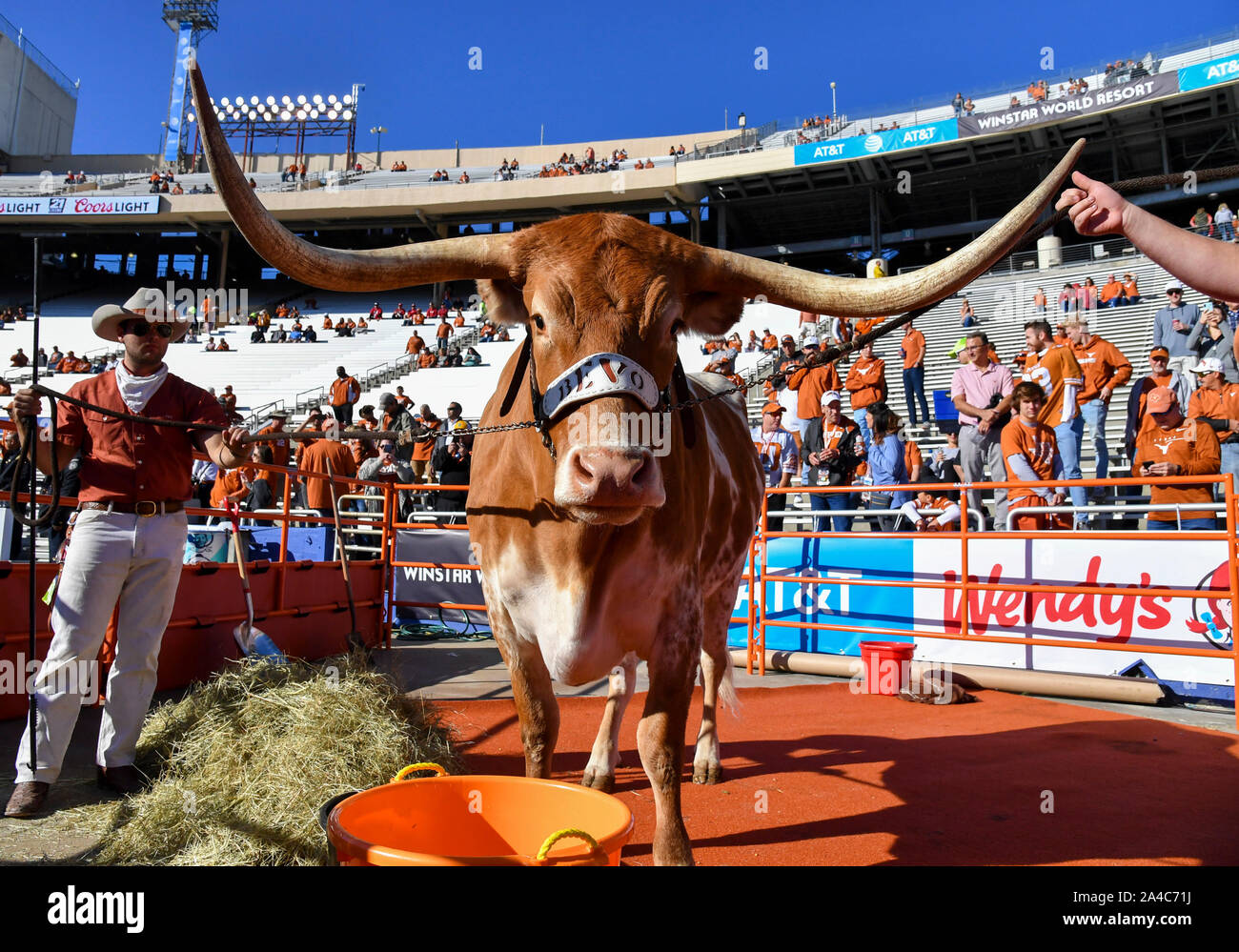 Oct 12, 2019 : Texas mascot Bevo XV au cours de la rivalité de la rivière Rouge de la NCAA match entre l'Université de l'Oklahoma Sooners et l'Université de Texas longhorns au Cotton Bowl Stadium à Fair Park à Dallas, TX Texas défait 34-27 Albert Pena/CSM Banque D'Images