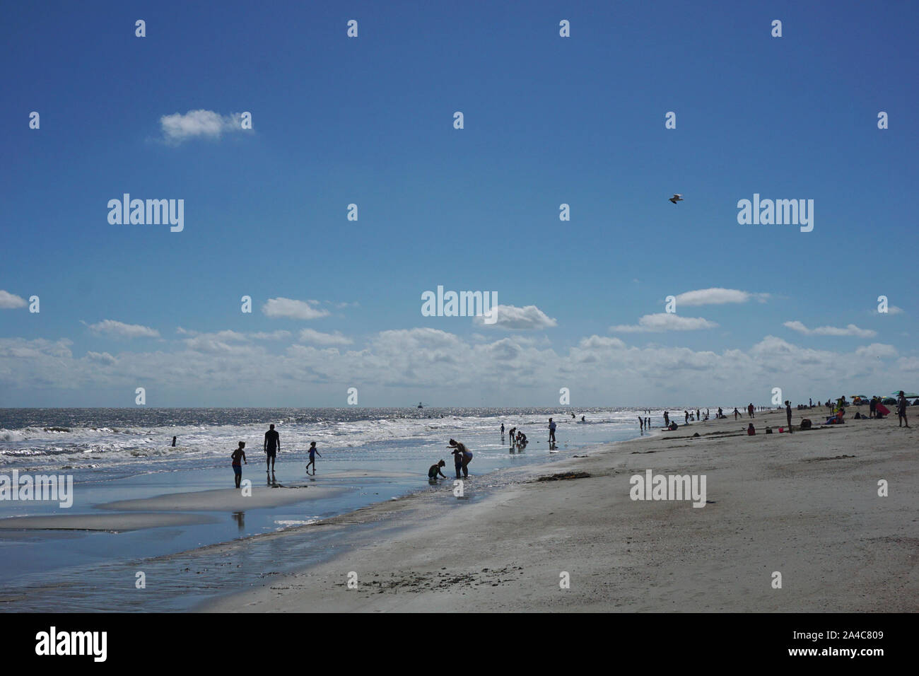 Silhouettes de vacanciers profitant de la plage Banque D'Images
