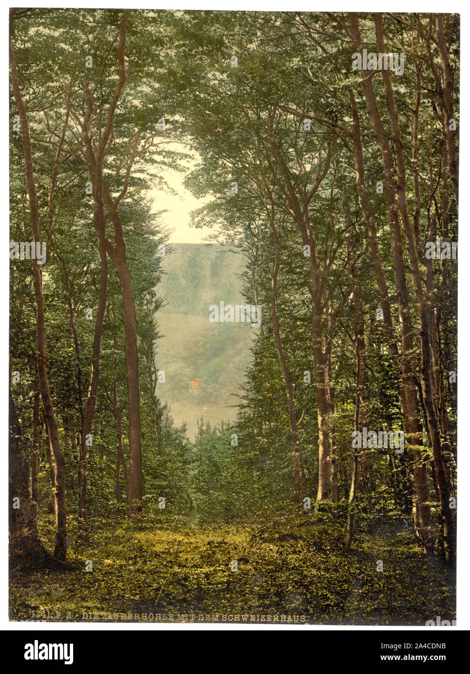 Le Zauberhole et le Schweizerhaus, Niederwald Monument, le Rhin, Allemagne Banque D'Images Le Zauberhole et le Schweizerhaus, Niederwald Monument, le Rhin, Allemagne Banque D'Images