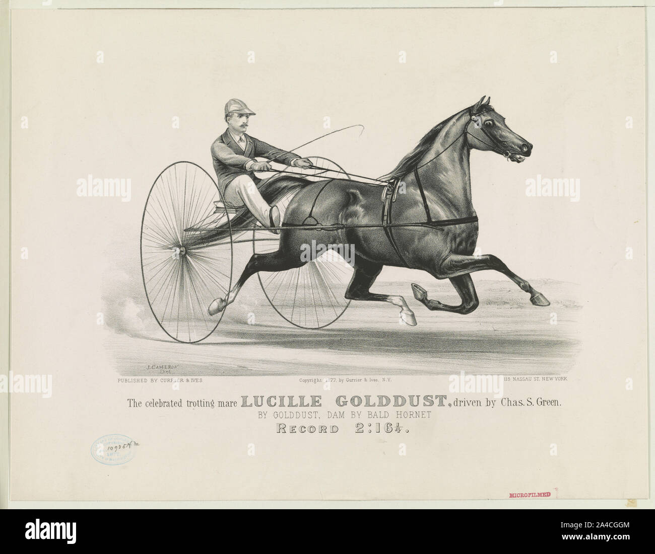 La célèbre jument de trot Lucille Golddust, entraîné par Chas. S. Green : par Golddust, barrage par Pygargue à tête Hornet - enregistrement 2:16 1/4 Banque D'Images