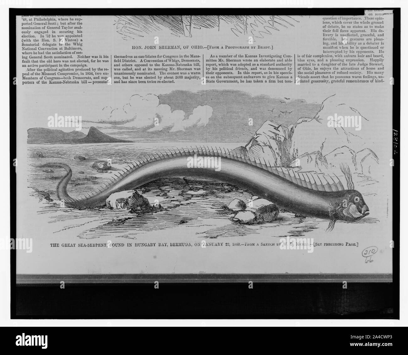 Le grand serpent de mer, la baie de la Hongrie, les Bermudes, le 22 janvier, 1860 / d'après un croquis par W.D. Munro. Banque D'Images