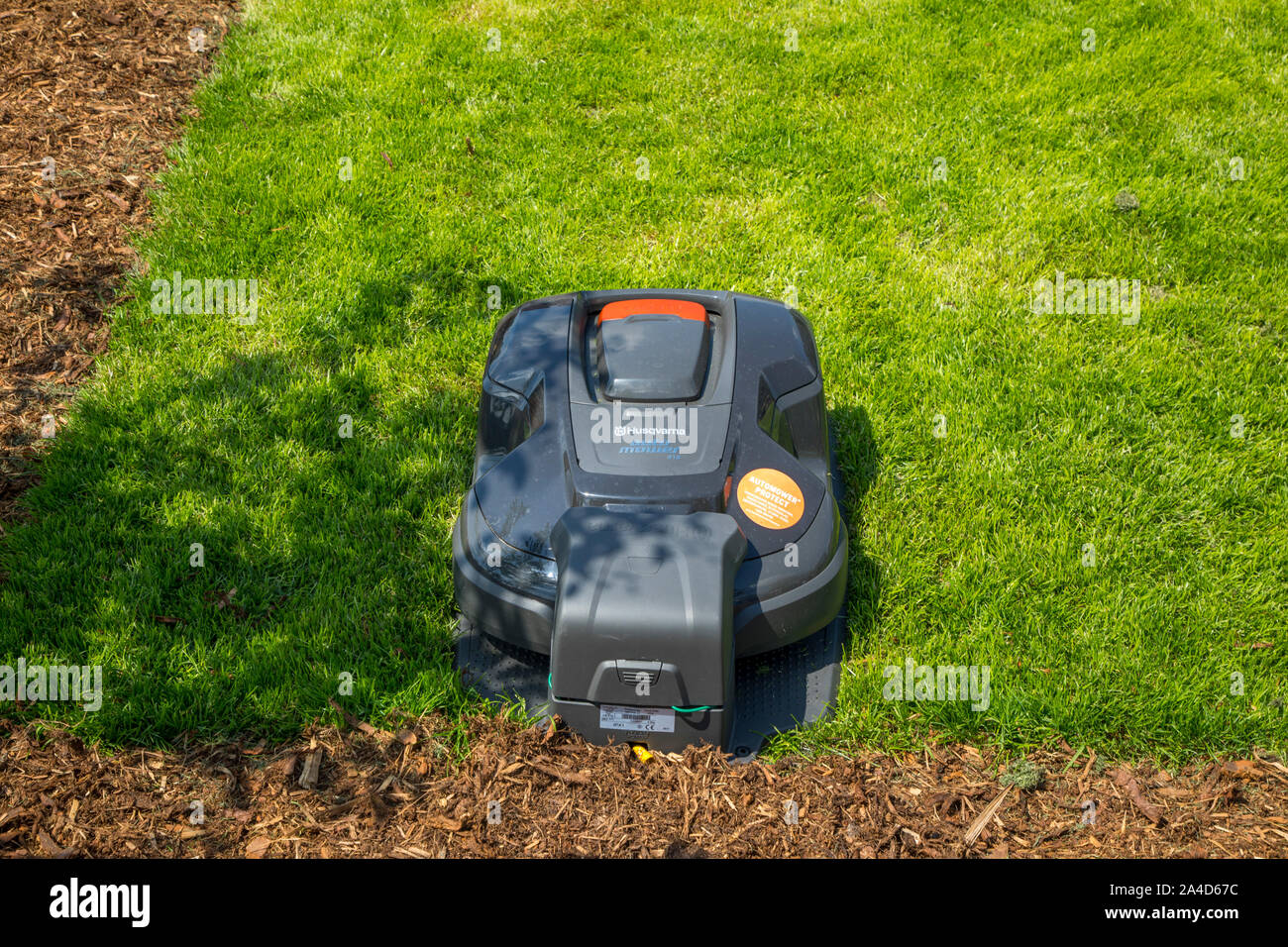Tondeuse robot, de Husqvarna, tond la pelouse, automatiquement Banque D'Images