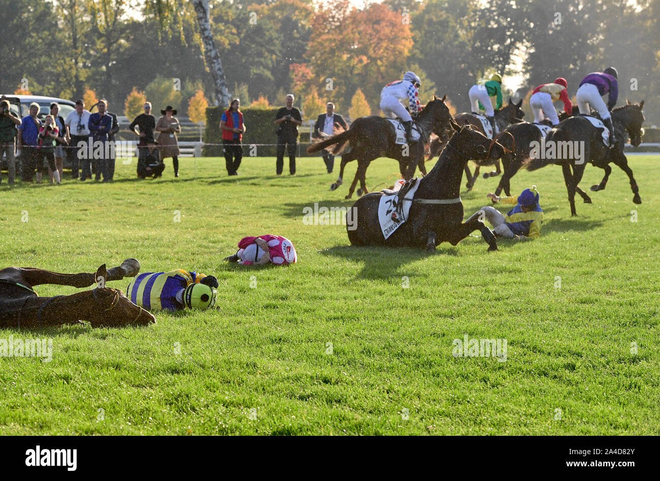 Pardubice, République tchèque. 13 Oct, 2019. 9-year-old bay Theophilos avec jockey Josef Bartos a remporté le 129e Grand Steeple-chase de Pardubice aujourd'hui, le dimanche, Octobre 13, 2019, et c'est le troisième entraîneur Bartos et Josef Vana hauts' s 11e victoire dans la course annuelle. Theophilos ont pris part à la plus célèbre course d'tchèque pour la première fois aujourd'hui. Bartos a remporté le Grand Steeple avec bon garçon il y a 13 ans et deux ans plus tard, il fit son triomphe avec 16. Photo : CTK/Vondrous Romain Photo/Alamy Live News Banque D'Images