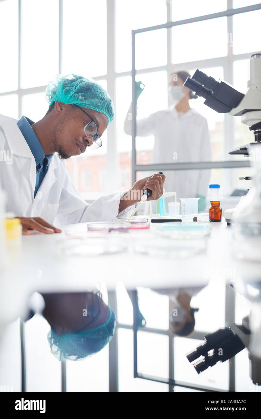 Portrait de l'homme afro-américain travaillant dans la préparation d'échantillons de laboratoire de test dans la boîte de Pétri pour la recherche médicale, copy space Banque D'Images