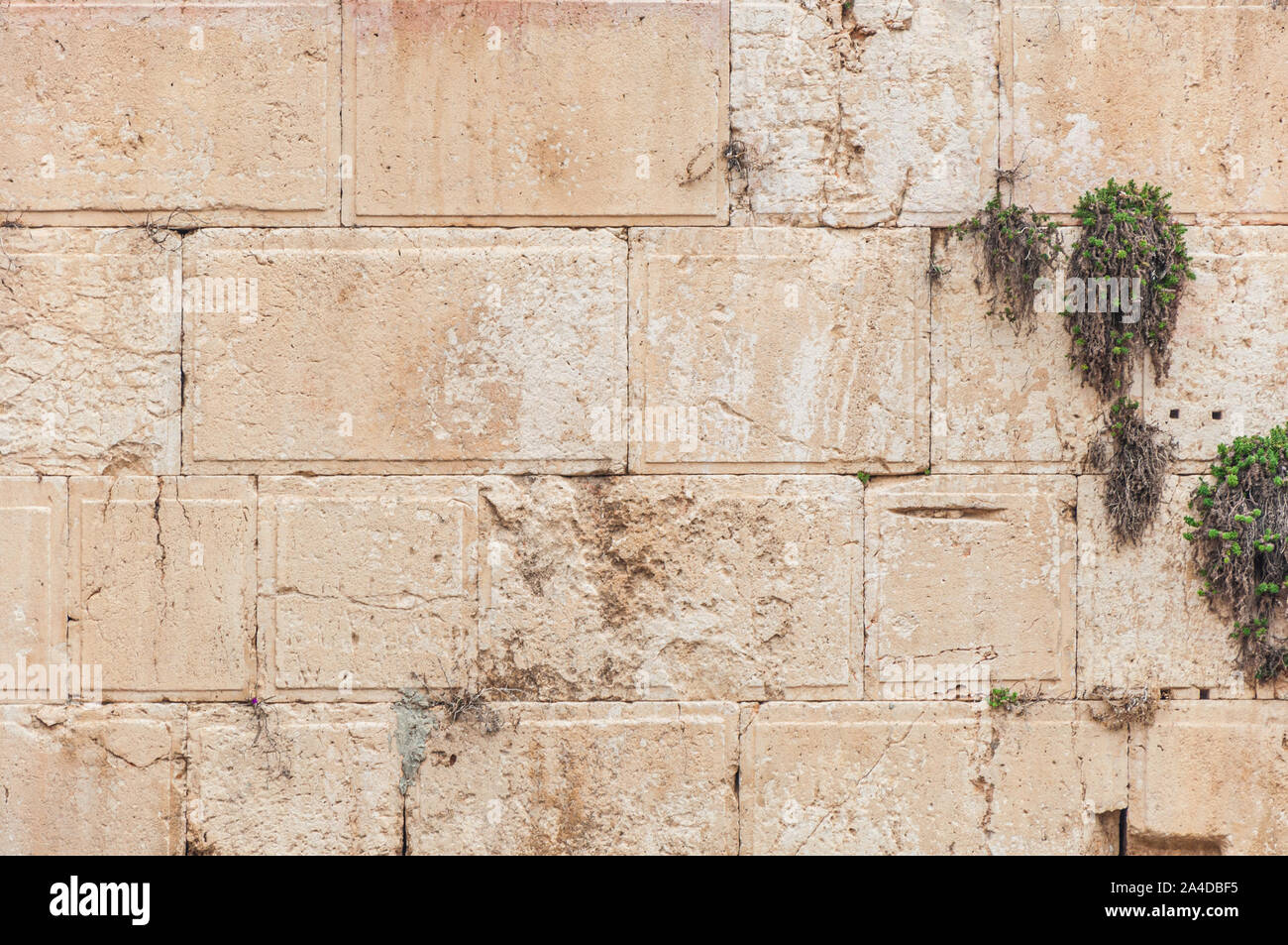 (L'ouest du mur des Lamentations) à Jérusalem Banque D'Images