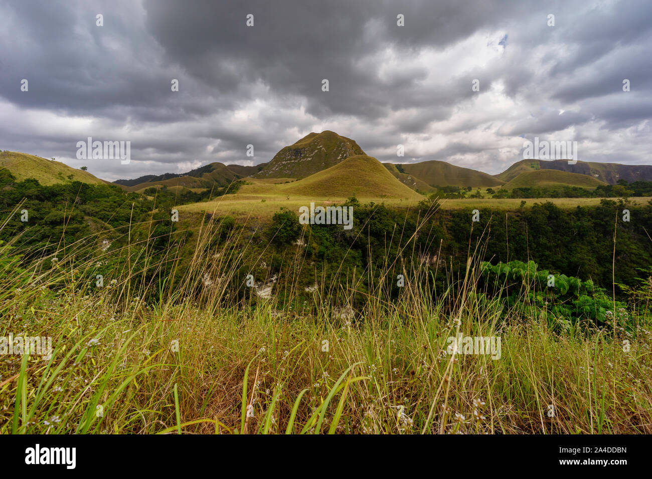 Paysage rural, Tanggedu, Sumba-est, East Nusa Tengara, Indonésie Banque D'Images