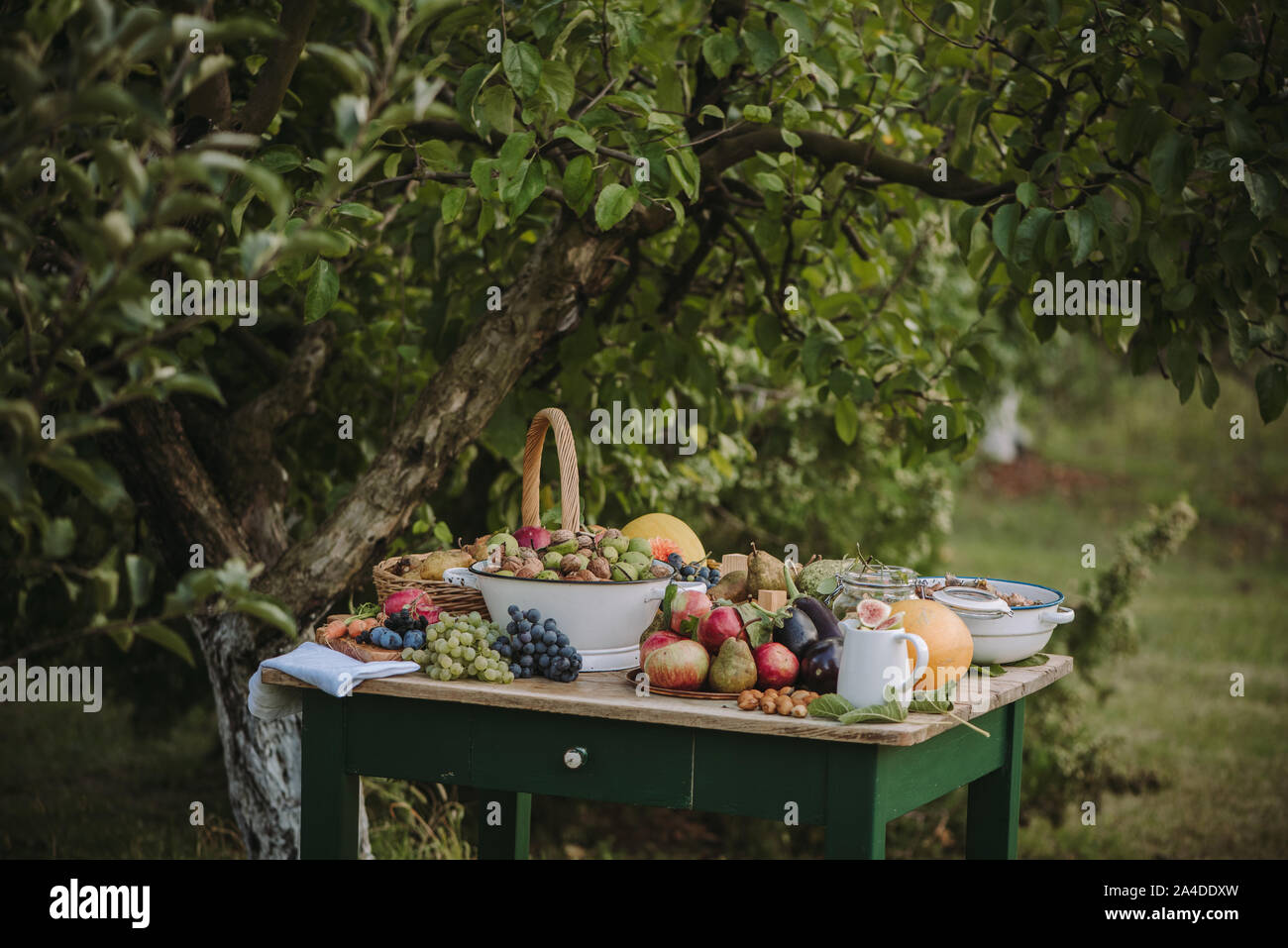Arrangement de fruits et légumes d'automne sur une table de jardin, Serbie Banque D'Images