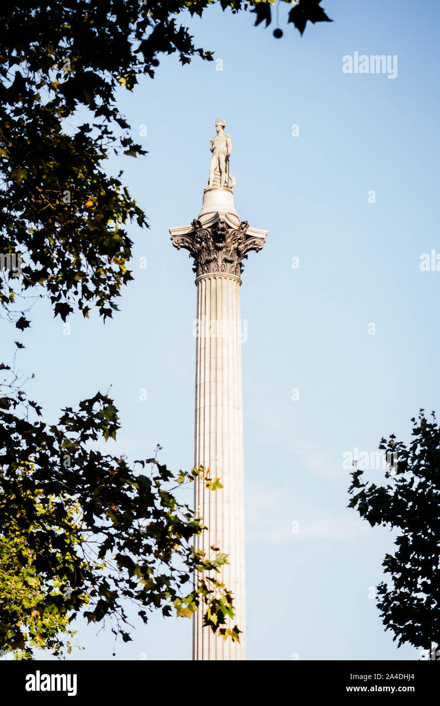 La colonne Nelson de Trafalgar Square à Londres Banque D'Images