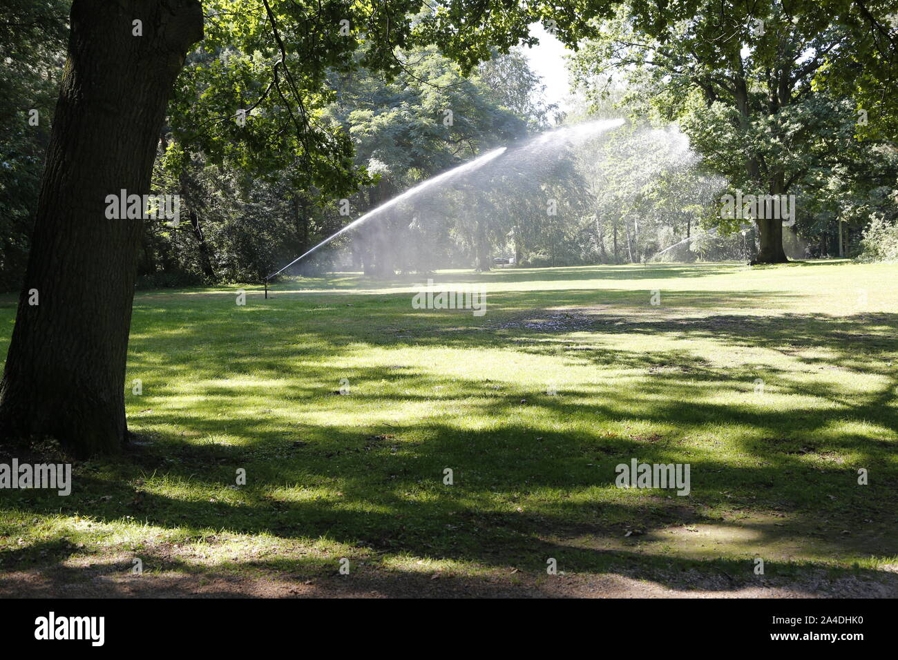 Aspersion d'eau dans parc de Tiergarten à Berlin en été Banque D'Images