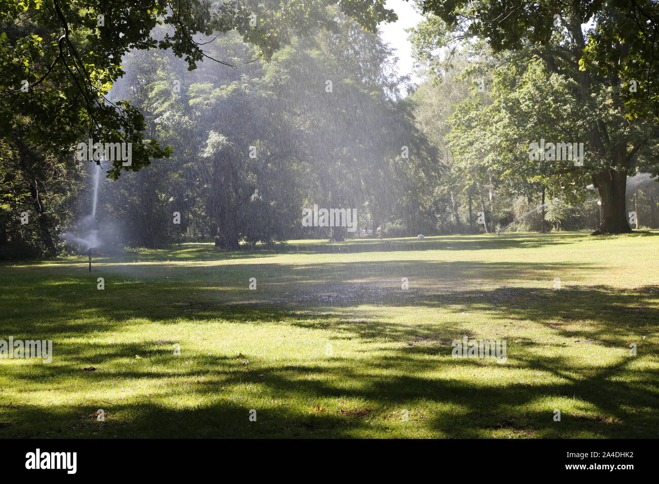 Aspersion d'eau dans parc de Tiergarten à Berlin en été Banque D'Images