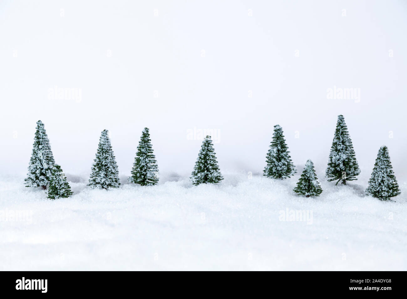 Paysage d'hiver avec des arbres d'incendie Banque D'Images