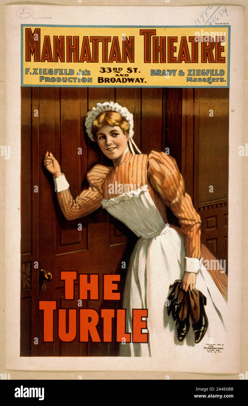 La tortue F. Ziegfeld Jr's production. Banque D'Images