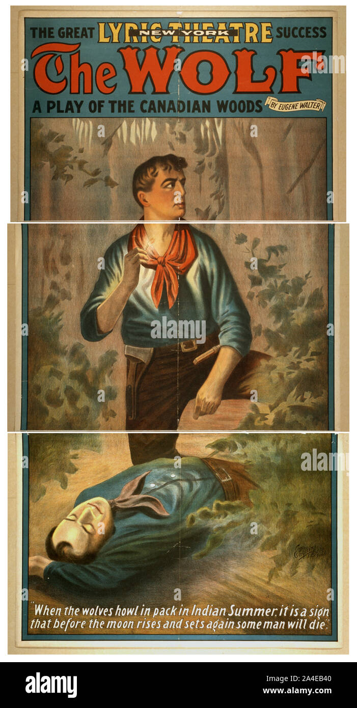Le loup de l'aplay woods par Eugene Walter. Banque D'Images