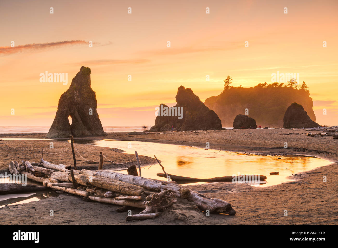 Olympic National Park, Washington, USA au Ruby Beach au crépuscule. Banque D'Images