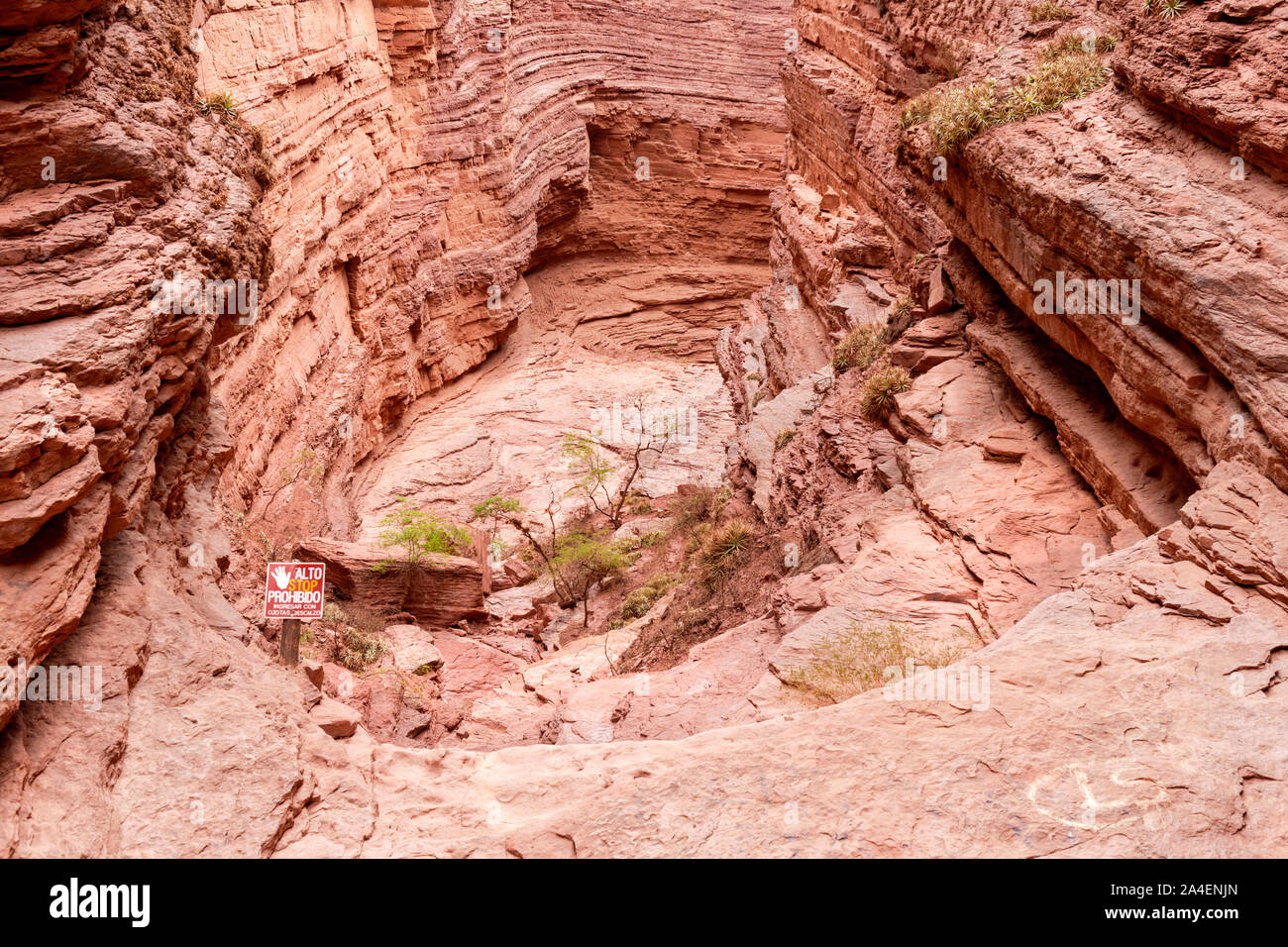 La réserve naturelle Quebrada de las Conchas, également connue sous le nom de Quebrada de Cafayate, est située dans les vallées de Calchaquíes, près de Cafayate. Banque D'Images