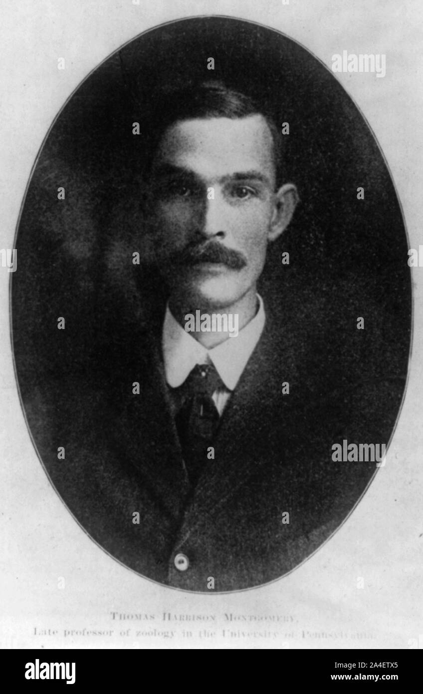 Thomas Harrison Montgomery, professeur de zoologie à l'Université de Pennsylvanie Banque D'Images