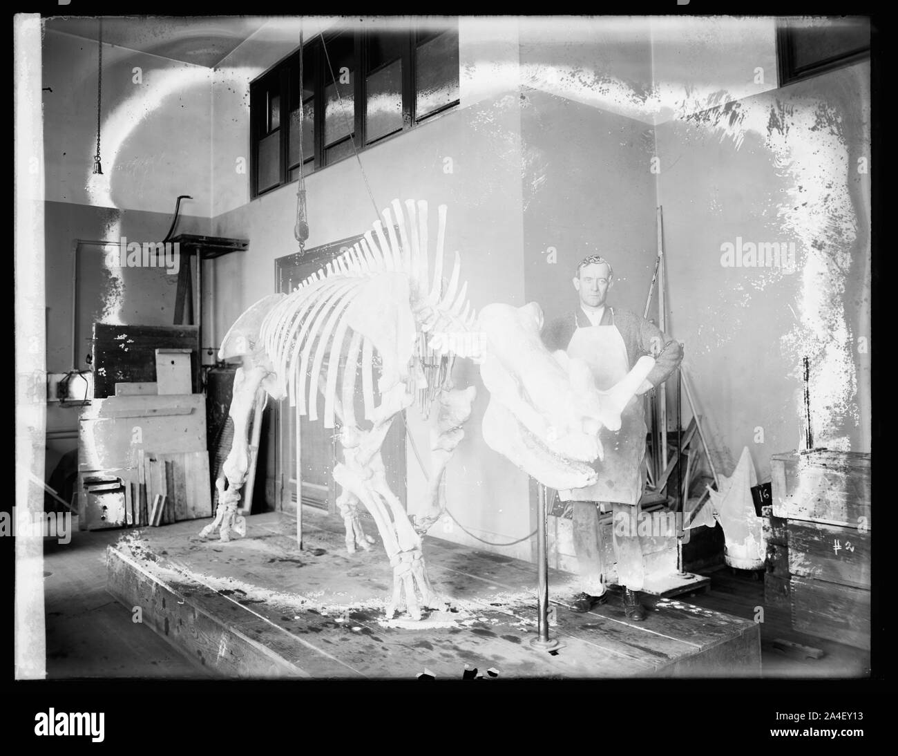 Thos. J. Horne, Musée Américain Banque D'Images