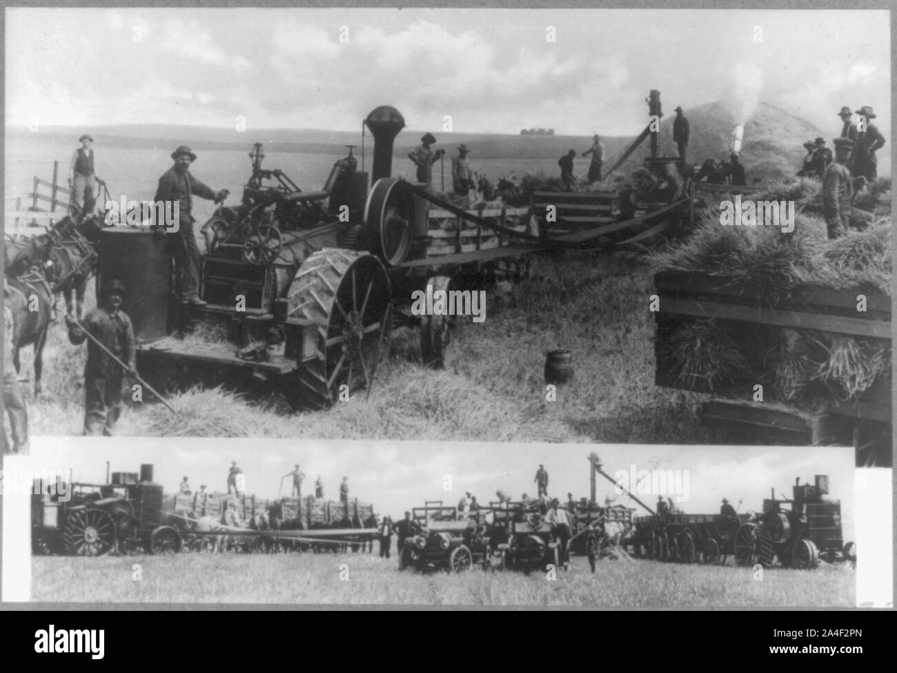 Le battage du grain. Plage, Dakota du Nord Banque D'Images