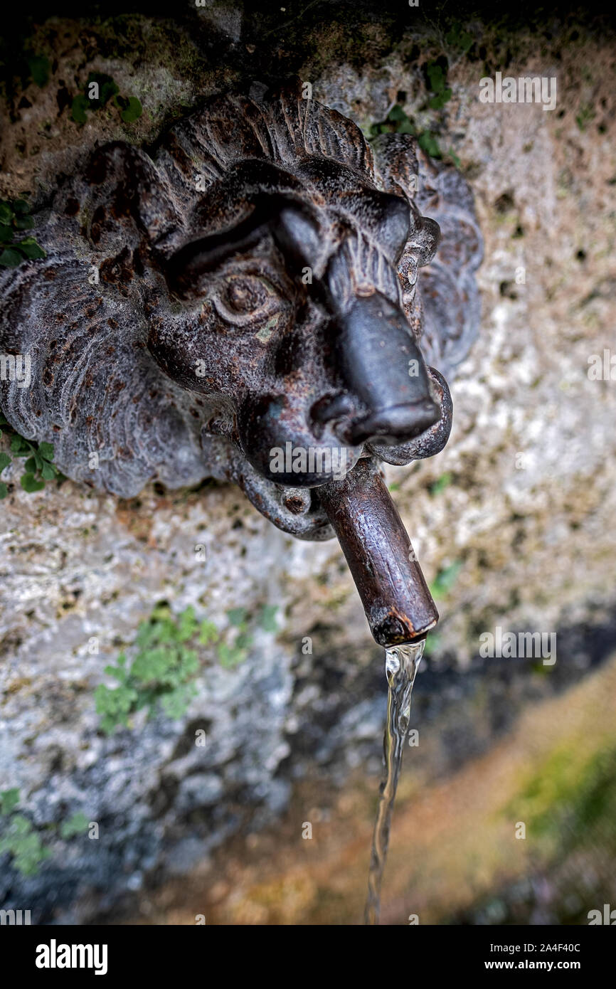 Gargoyle, tête de lion antique eau dépenses Banque D'Images