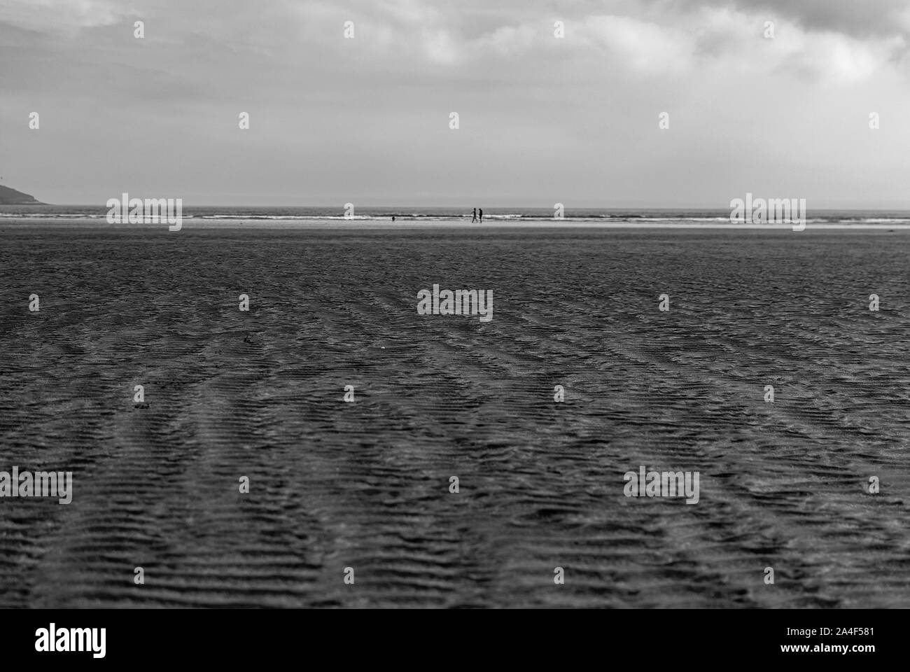 Couple avec un chien marcher et jouer sur une plage de sable en laissant des traces de pas dans le sable. La journée en famille. Jour nuageux. Banque D'Images