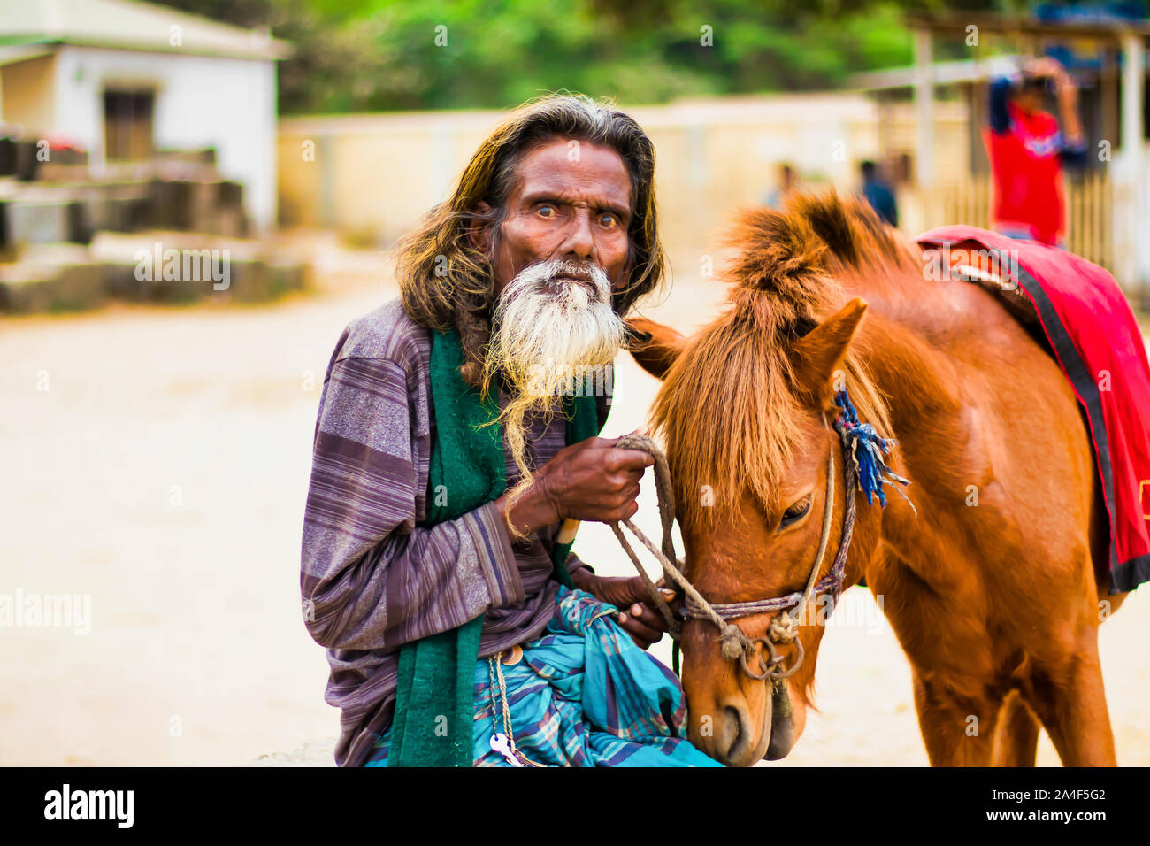 Le cheval est la dernière adresse de ce vieil homme. Banque D'Images