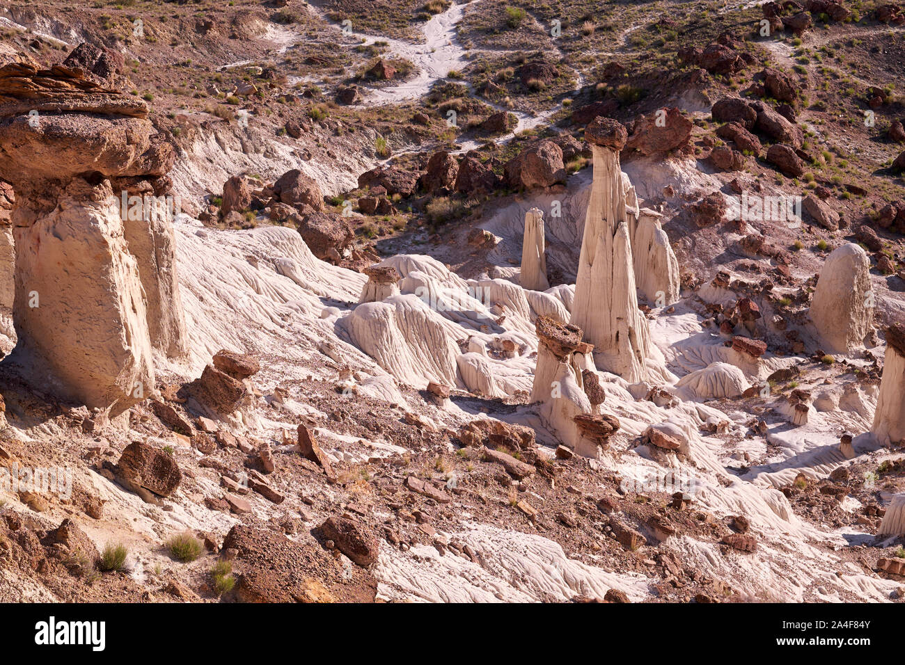 Paysage de l'Utah - Résumé détail à Wahweap Hoodoos, les tours du silence, Utah, USA Banque D'Images