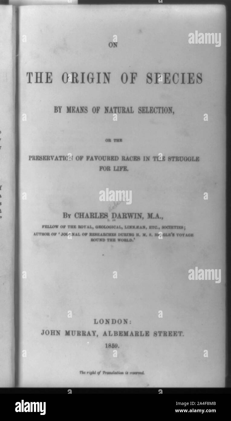 Page de titre de l'origine des espèces Banque D'Images