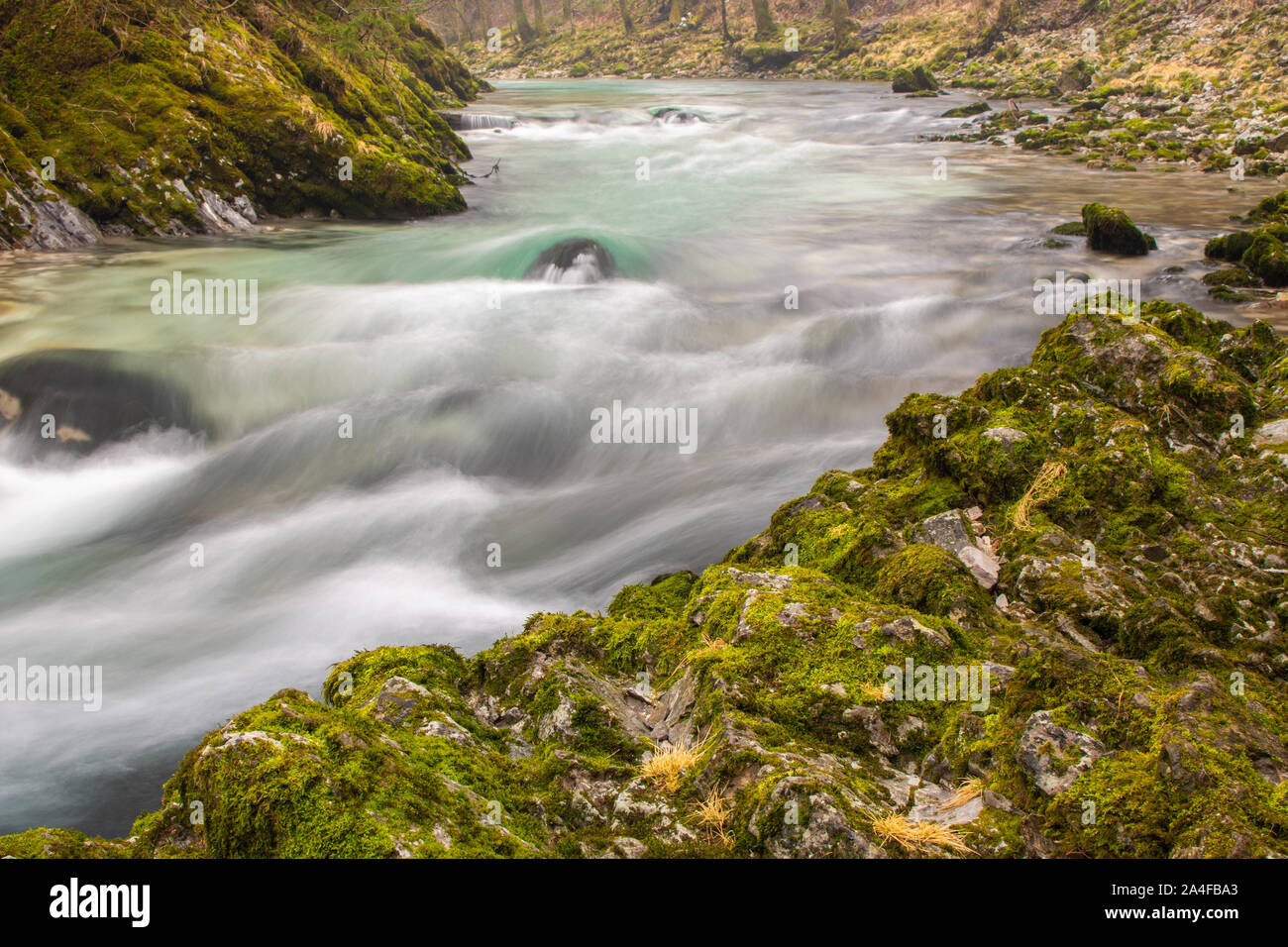 Belle Rivière Radovna dans les gorges de Vintgar Gorge de Bled, en Slovénie ou en hiver. Banque D'Images