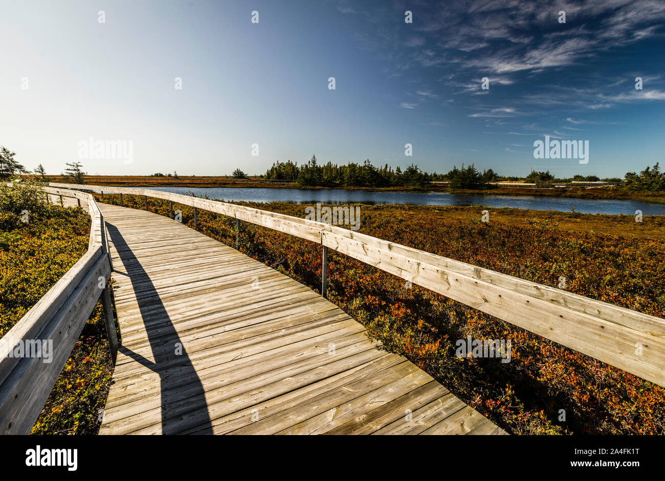 Interprétation de l'Île Miscou Miscou - Promenade de la Tourbière, du Nouveau-Brunswick, de CA Banque D'Images