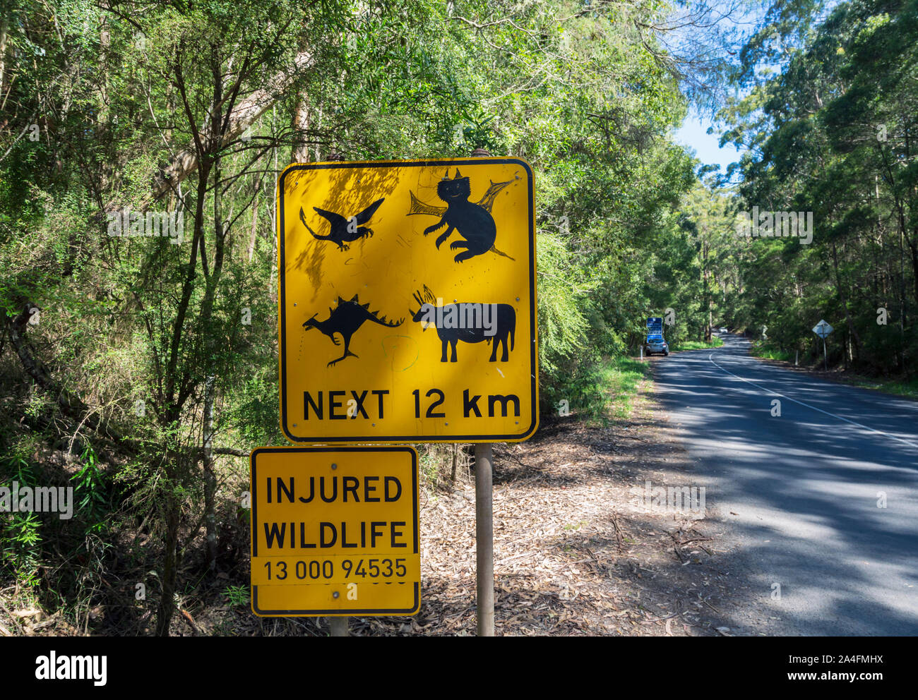 Des signes dans le parc national Great Otway, qui atteint jusqu'à la côte de la Great Ocean Road, Victoria, Australie. Un signe contient le numéro de téléphone à cal Banque D'Images