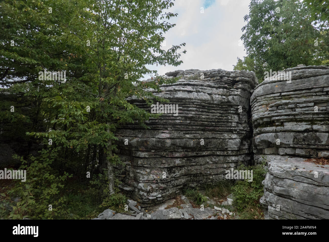 La forêt de pierre, Petrodasos, est un monument naturel avec des formations rocheuses avec superposition des couches horizontales de pierre. Zagori est une région montagneuse en Épire, dans le nord-ouest de la Grèce. Il a une superficie de quelque 1 000 kilomètres carrés et compte 46 villages connu comme Zagorochoria Zagori villages (ou Zagorochoria). Banque D'Images