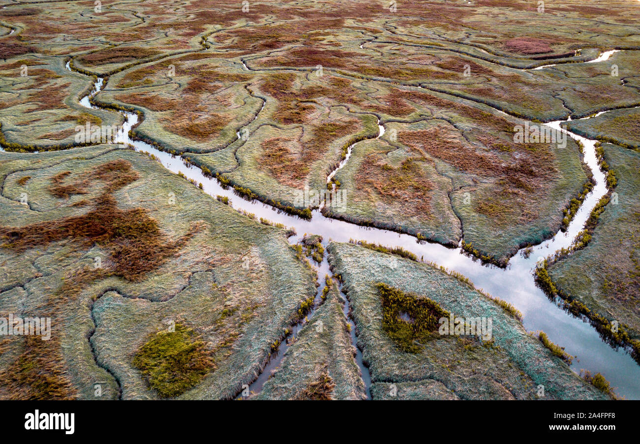 Vue aérienne de marais à marée naturel avec système de drainage sinueux Verdronken land van Saeftinghe en Zélande, Pays-Bas Banque D'Images