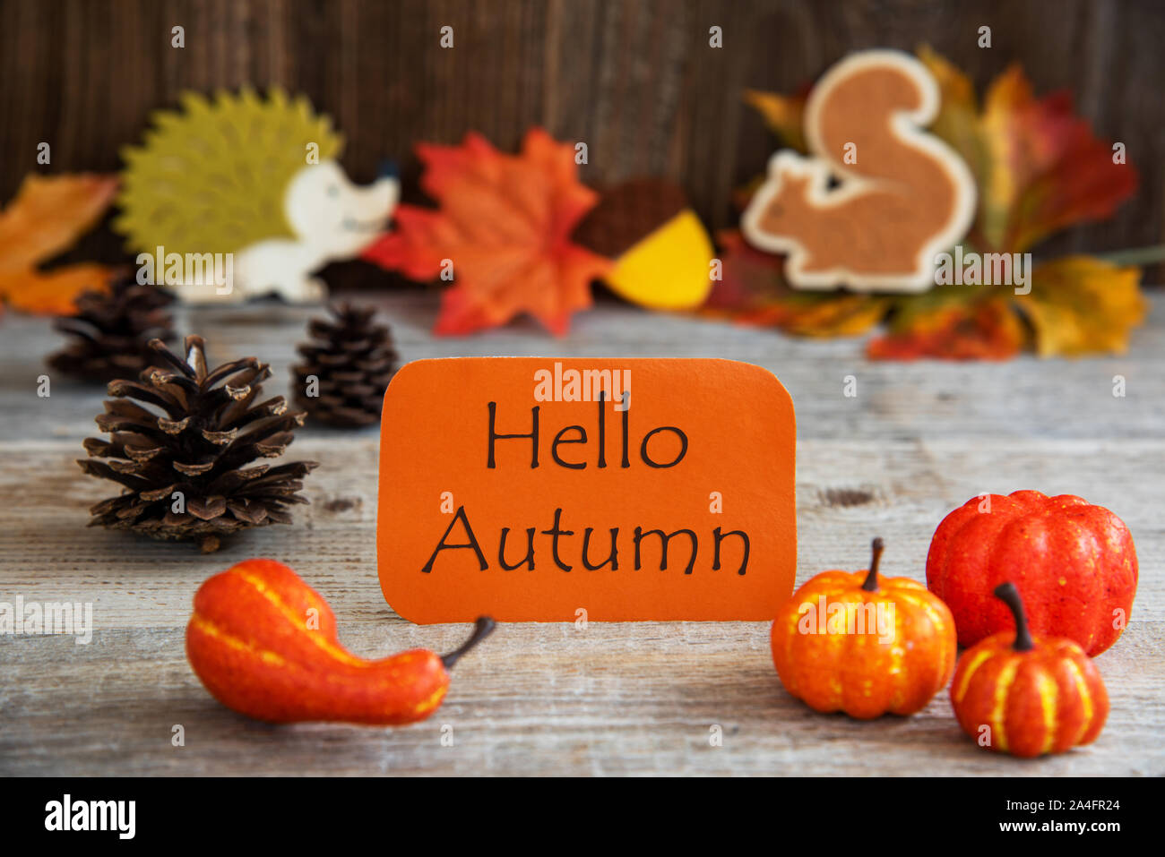 Étiquette avec décoration d'automne, texte Bonjour Automne Banque D'Images
