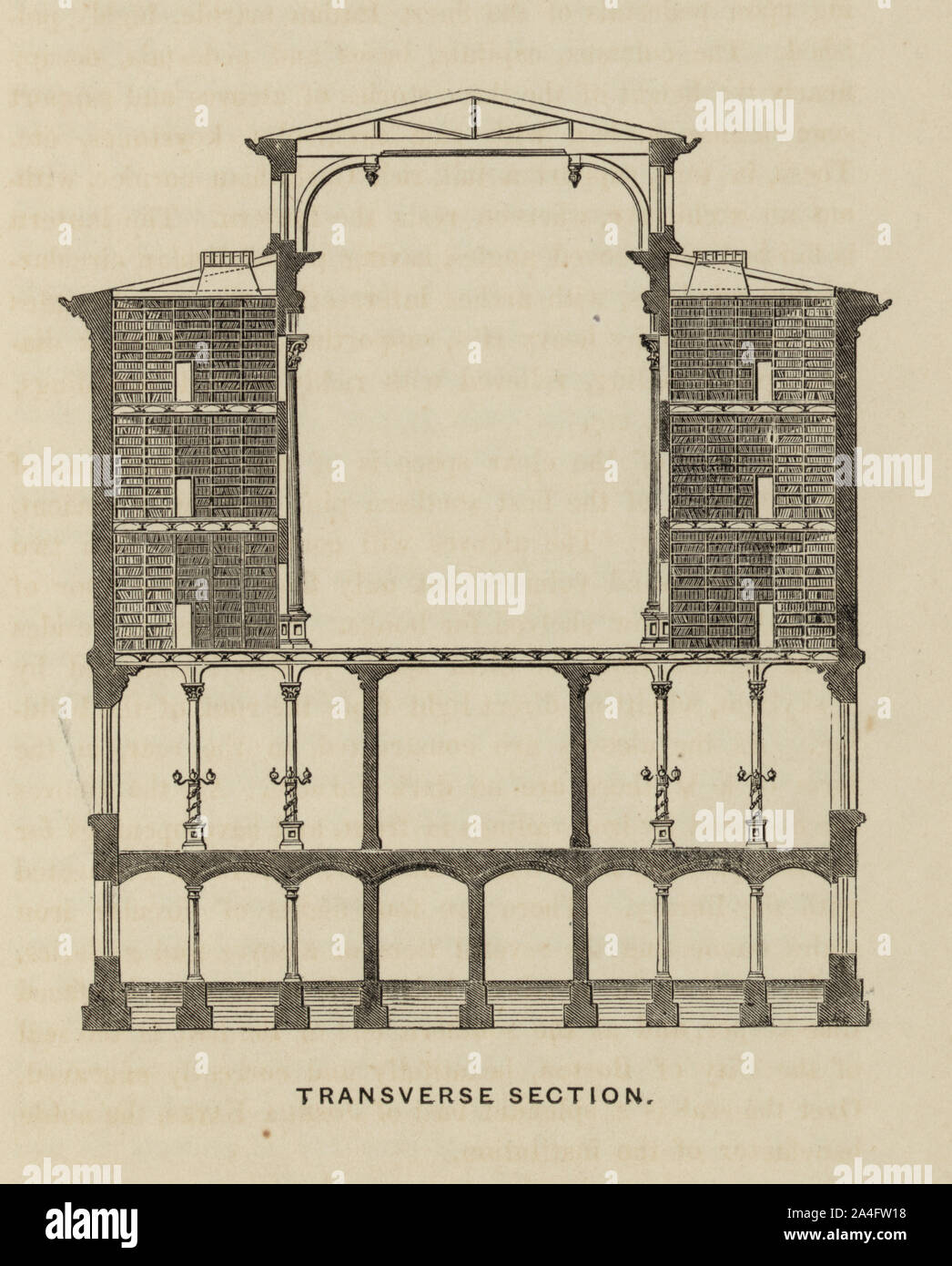 La section transversale Banque D'Images