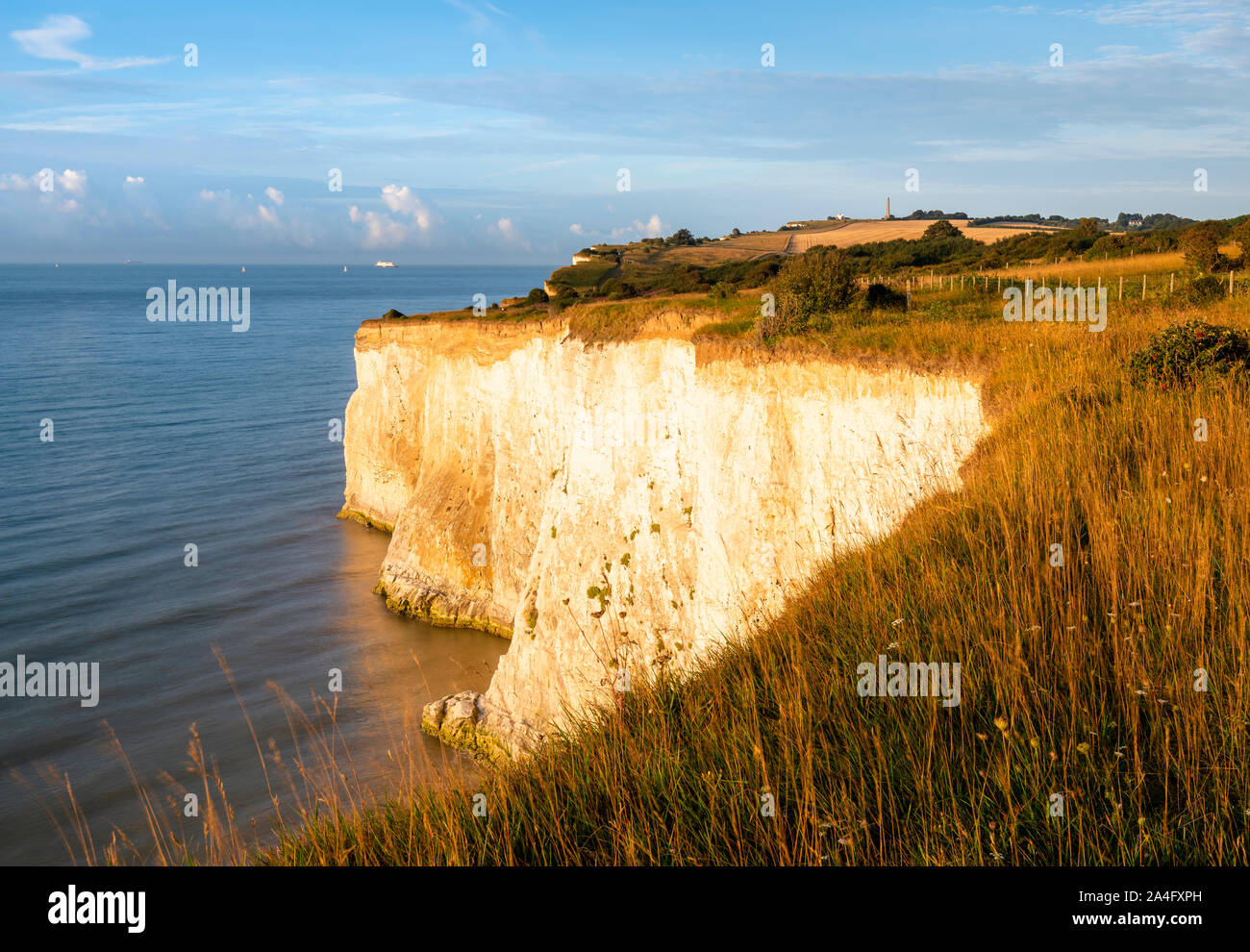 Les falaises blanches de Douvres. Tôt le matin, la lumière sur les falaises nr Kingsdown, Kent. Banque D'Images