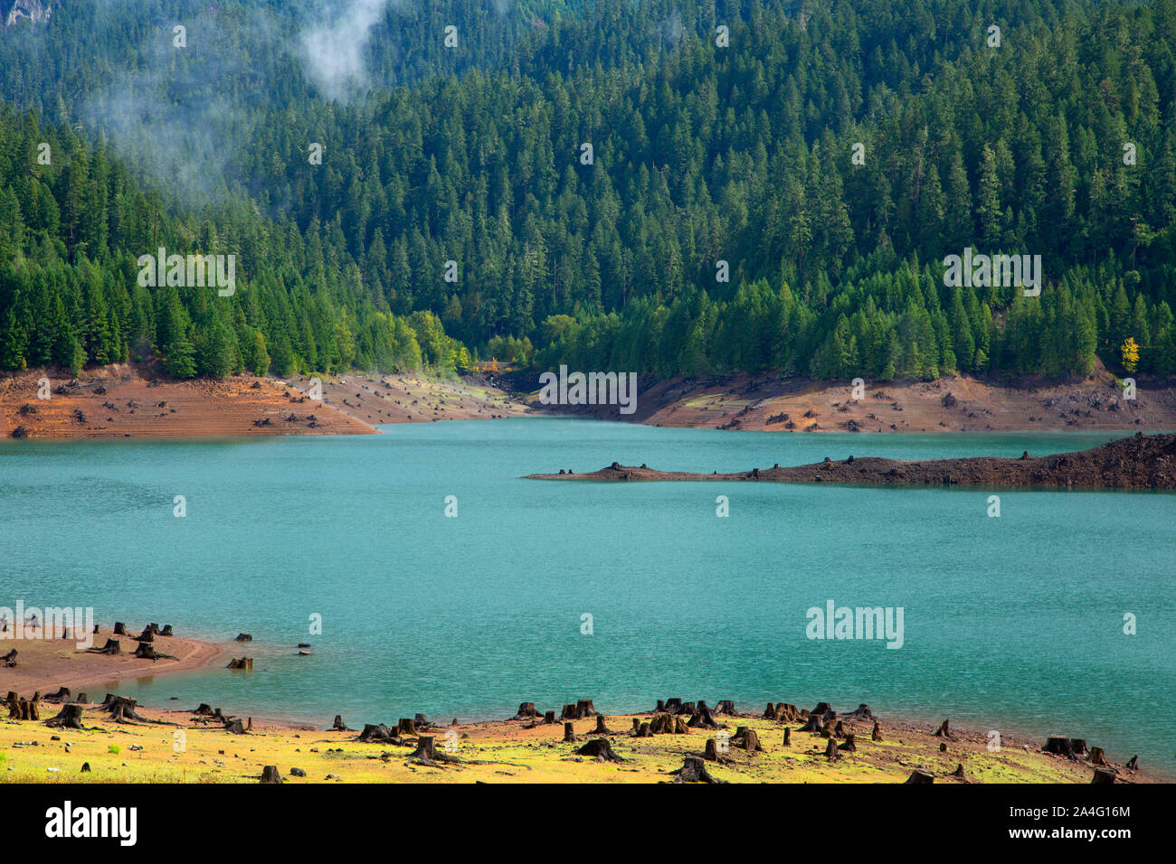 Hills Creek Reservoir Diamond Drive, le long de la forêt nationale de Willamette, Oregon Banque D'Images