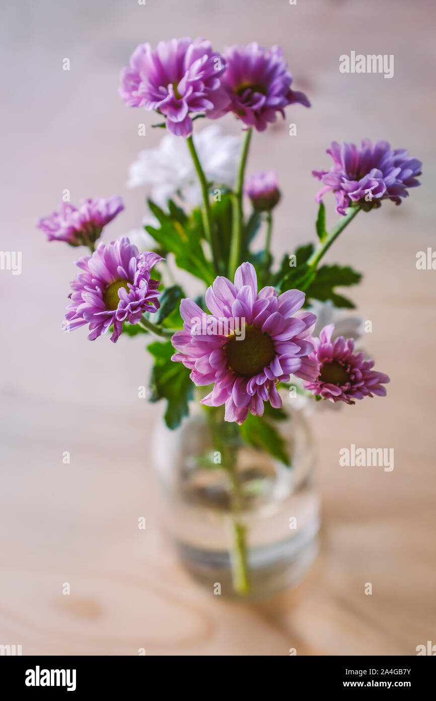 Fleurs roses et blanches dans une bouteille de lait cru utilisé comme un vase sur une table en bois Banque D'Images