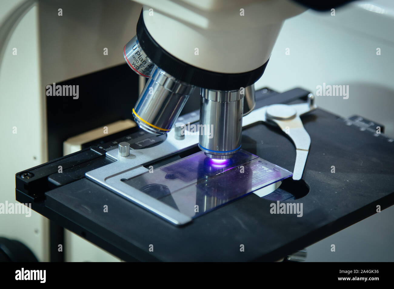 Scientifique ou médical d'essai sous la lumière microscope in laboratory, Close up. Banque D'Images