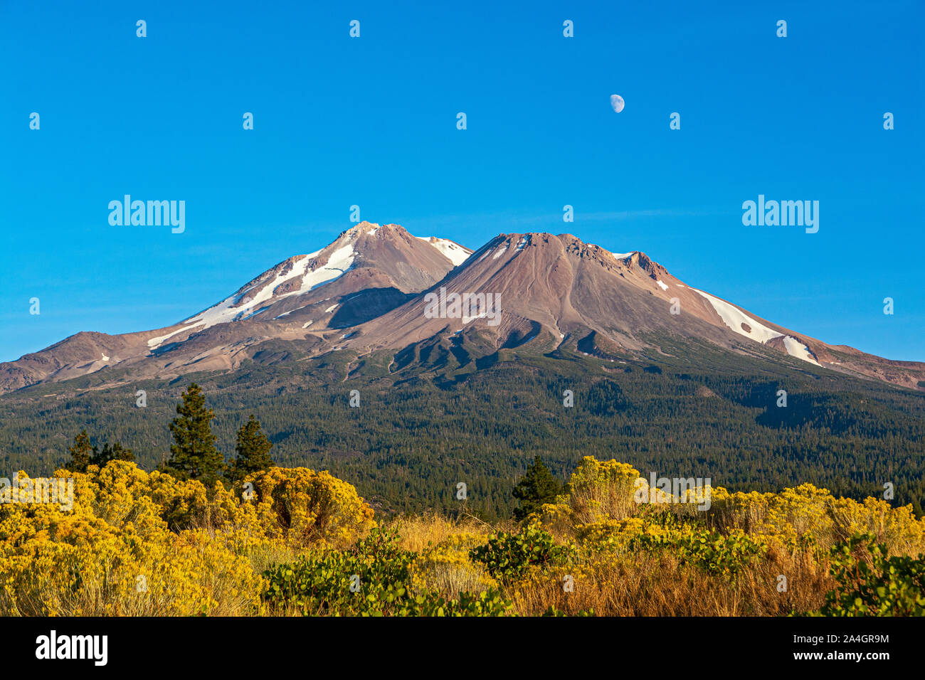 Mont Shasta, Californie, Comté de Siskiyou, vue à partir de l'autoroute 97 l'héritage volcanique Scenic Byway Banque D'Images