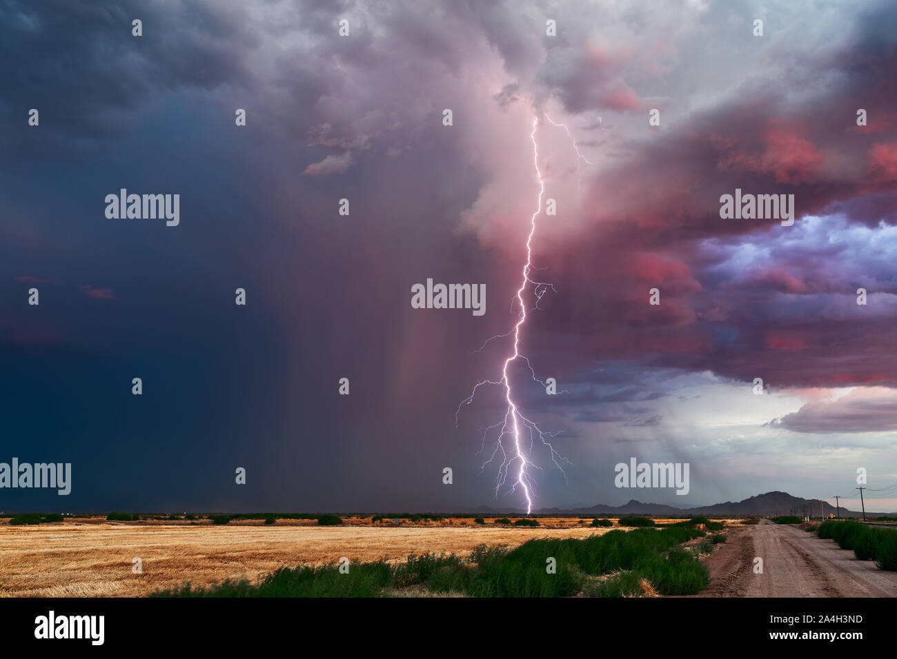 Tempête de foudre au coucher du soleil avec des nuages sombres et de la pluie dans le désert près de Marana, Arizona, États-Unis Banque D'Images
