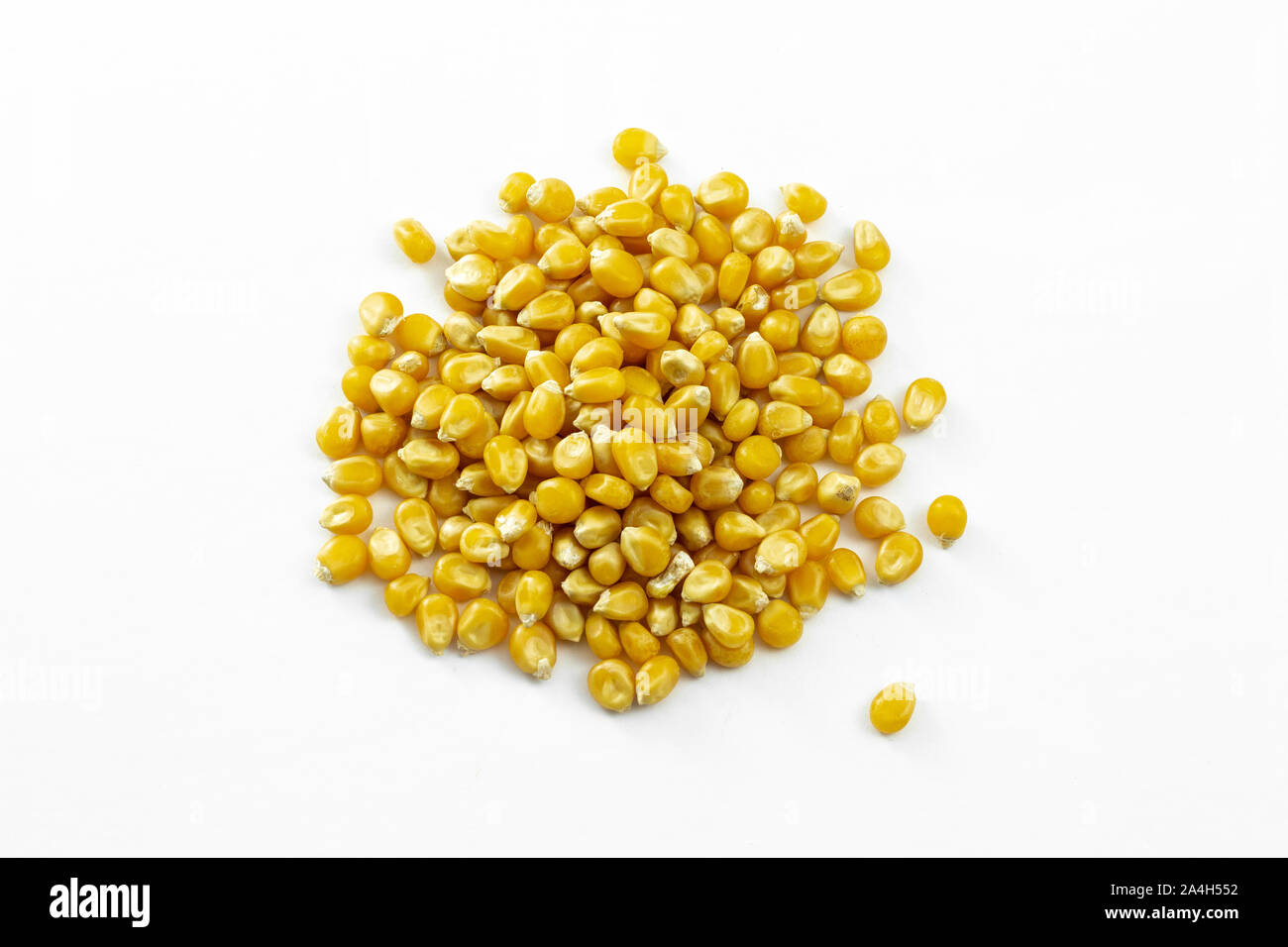 Un groupe de grains de maïs séchés sur fond blanc Banque D'Images