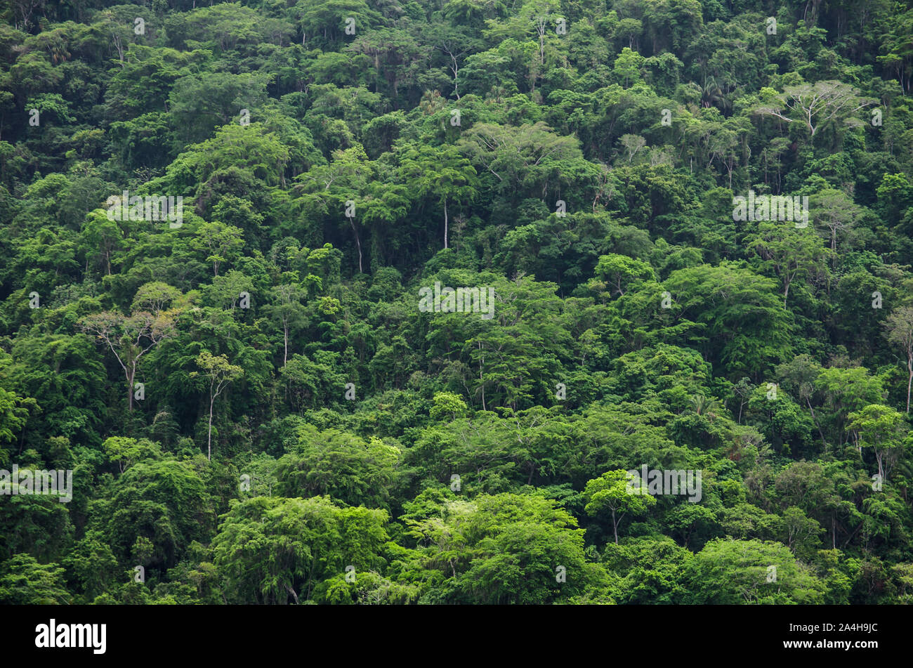 Paysage dans le Parc National Tayrona, une zone protégée située dans Magdalena Ministère de la côte caraïbe de Colombie Banque D'Images