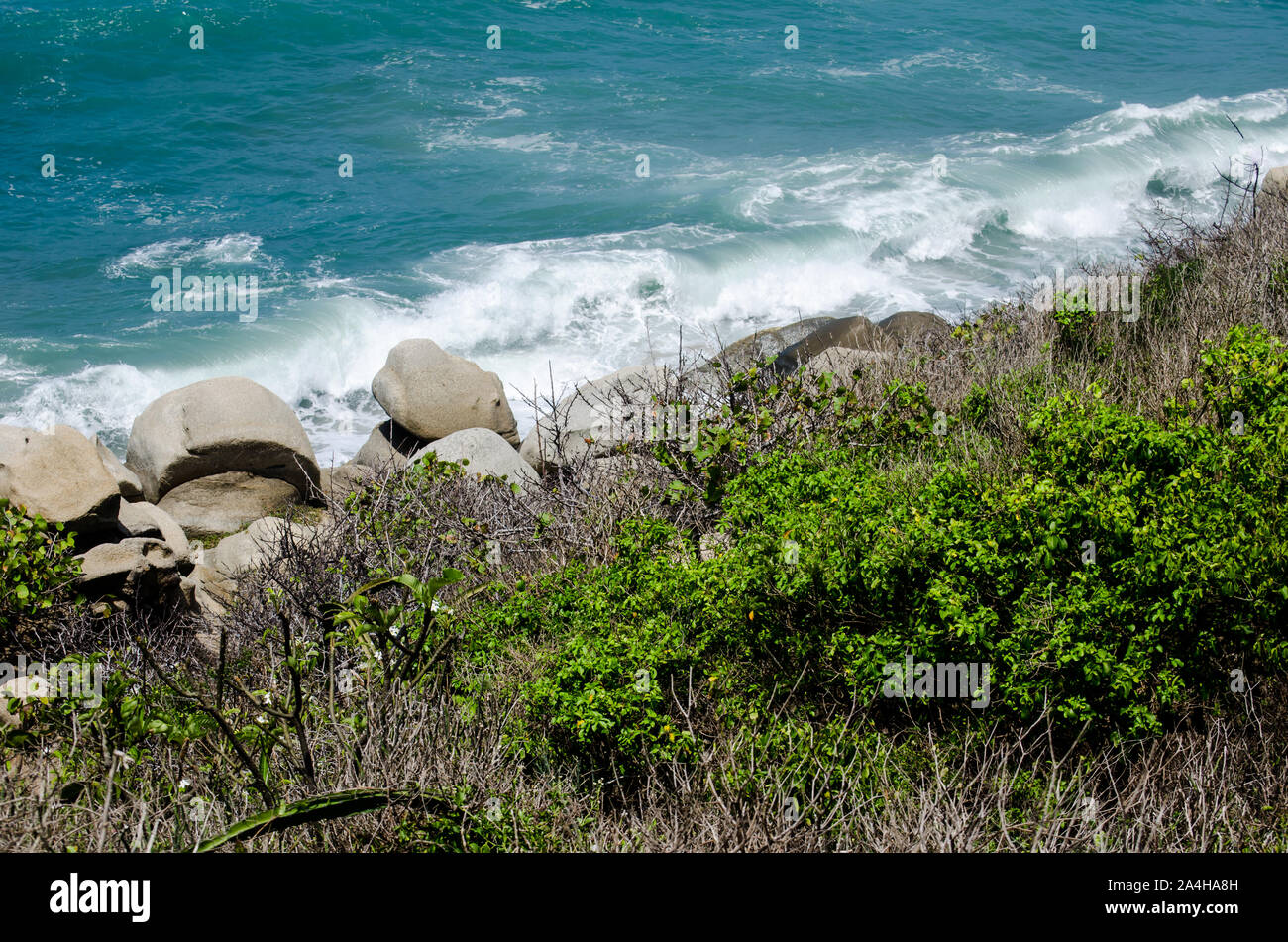 Paysage dans le Parc National Tayrona, une zone protégée située dans Magdalena Ministère de la côte caraïbe de Colombie Banque D'Images