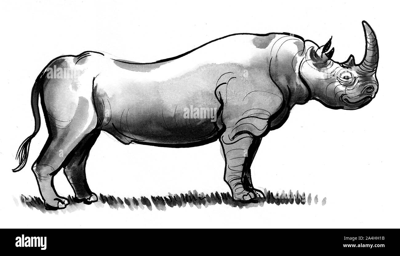 Gros rhinocéros gris. Encre et aquarelle illustration Banque D'Images