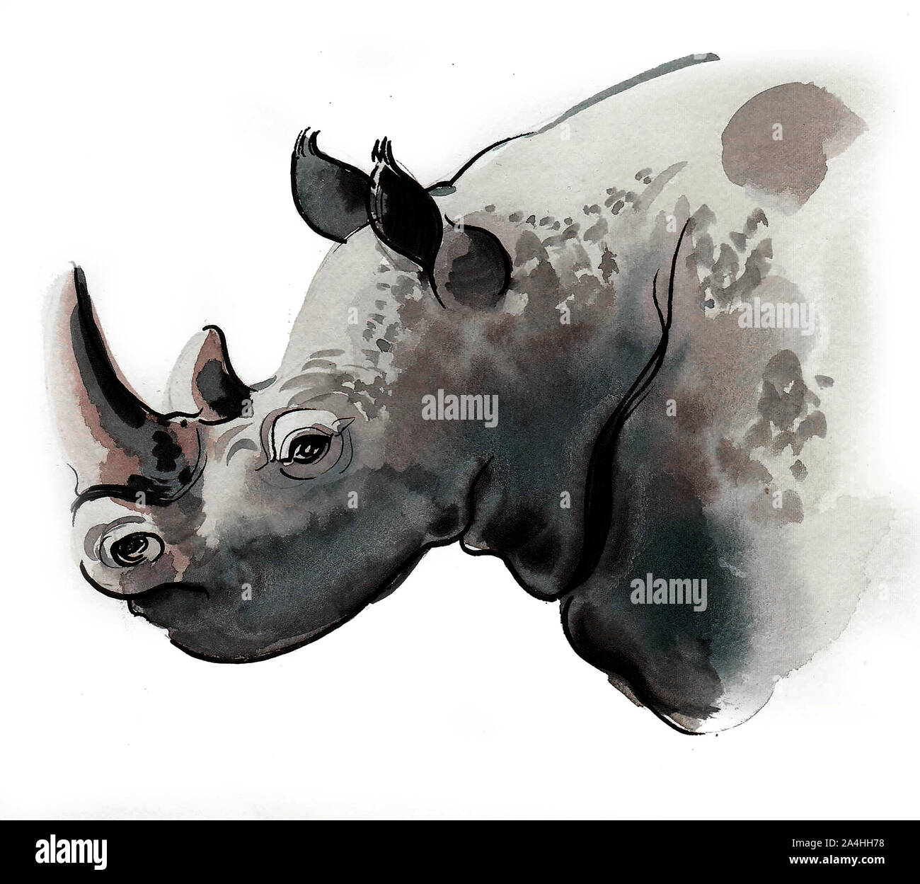 Grande tête de rhinocéros. Encre et aquarelle illustration Banque D'Images