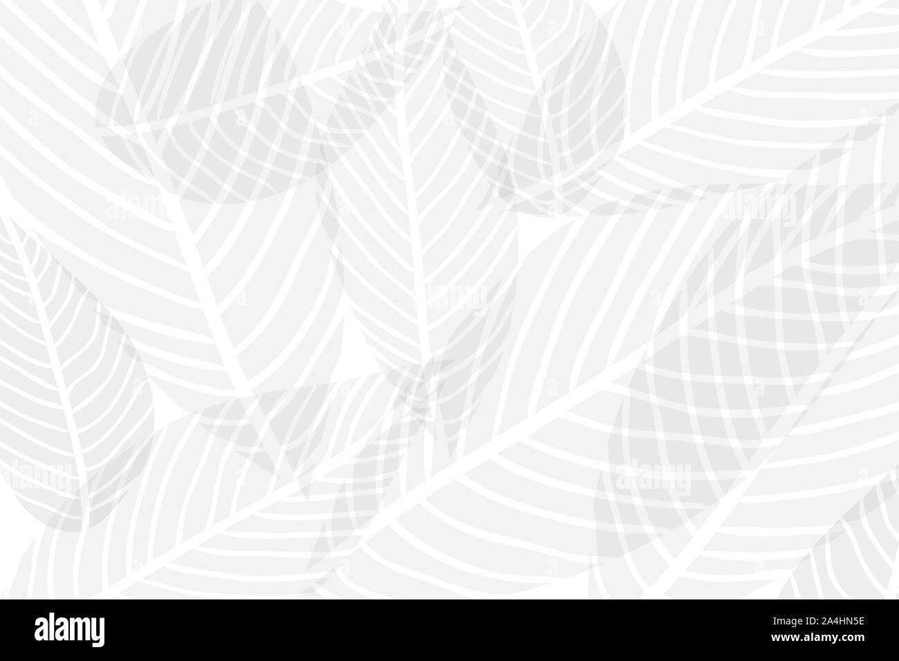 Composition du vecteur transparent alpha vert feuilles stylisées sur un fond blanc Banque D'Images