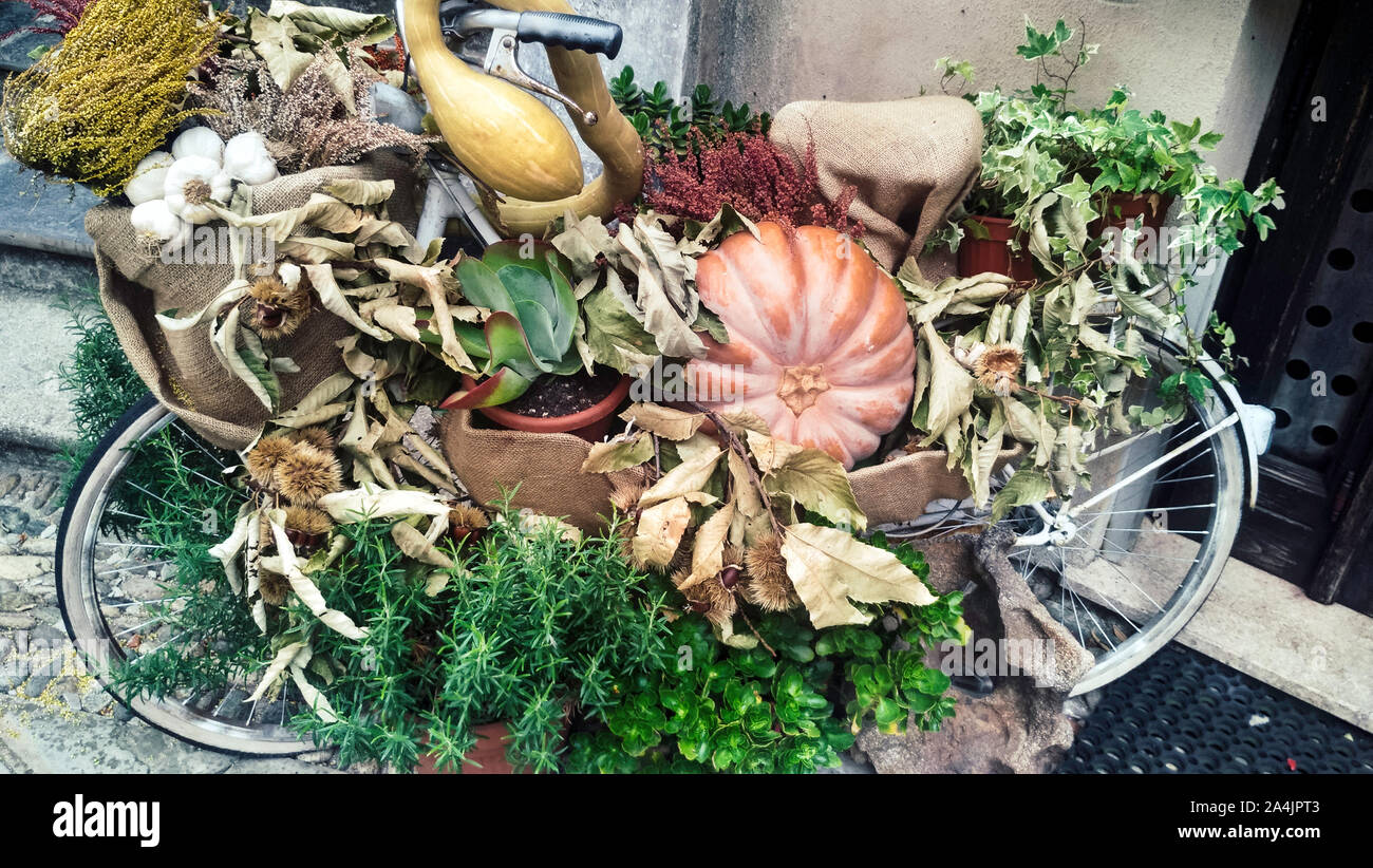 Vieux vélo décoré de composition florale, légumes et de citrouilles Banque D'Images
