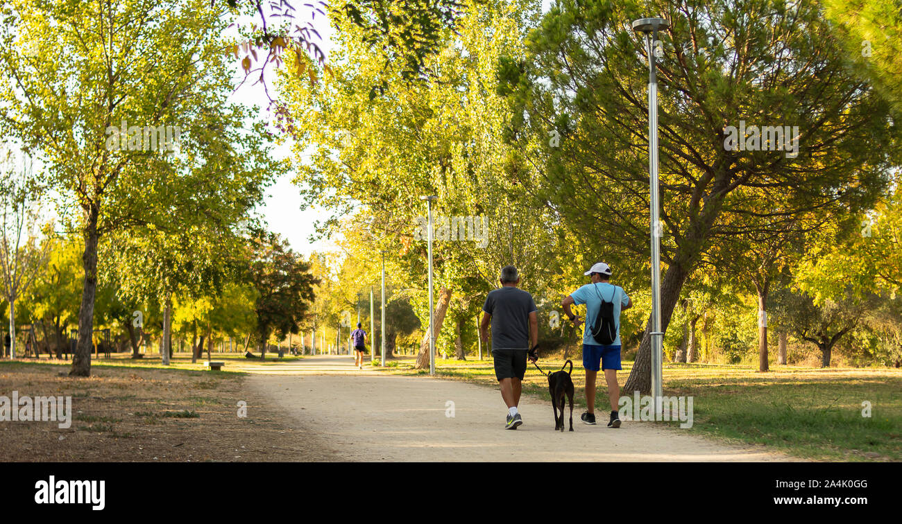 Deux hommes et leur chien n'sports marche sur le trottoir d'un parc ensoleillé au coucher du soleil Banque D'Images