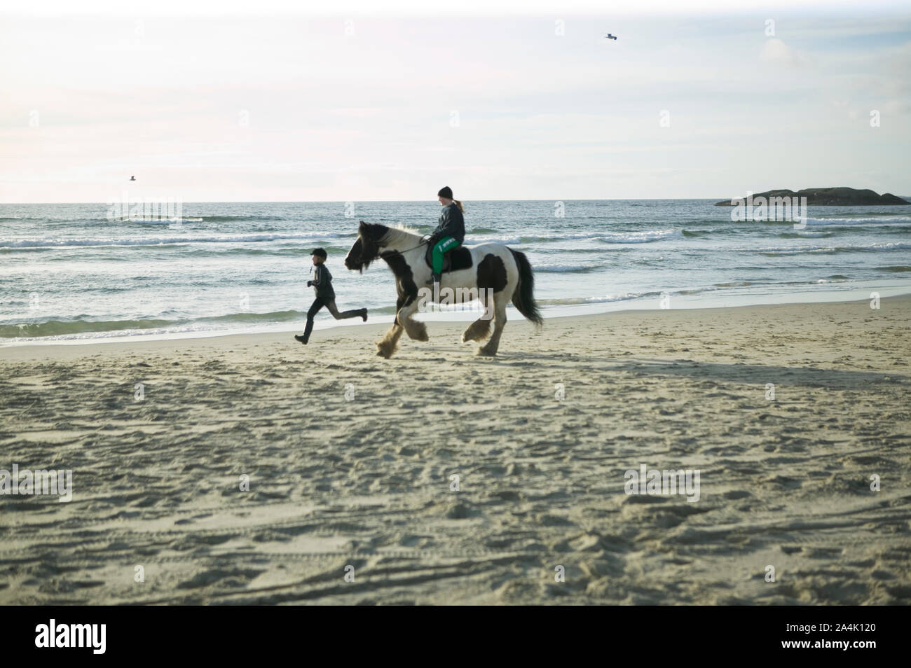 Les garçons avec un cheval Banque D'Images