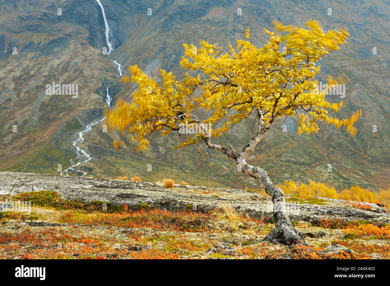 Jotunheimen dans Leirdalen Banque D'Images